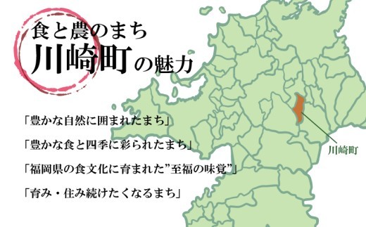 【7営業日以内発送】【定期便】訳あり 無着色 熟成 わけあり 切選べる 数量 冷凍 めんたいこ 明太子 明太 めんたいこ からしめんたいこ 辛子明太子 明太子 チューブ 明太子 2kg ふるさと納税明太子 明太子