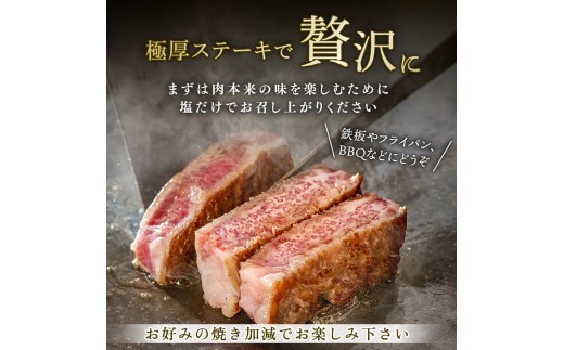 A4ランク 博多和牛 ヒレ肉 シャトーブリアン 約150g×2枚 ステーキ ブランド和牛 高級 ブランド 和牛 牛肉 お肉 国産 部位 おすすめ オススメ 冷凍 希少 福岡県 川崎町