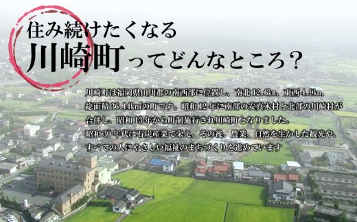 福岡有明のり【竹】わけあり 焼き海苔 全形10枚～40枚