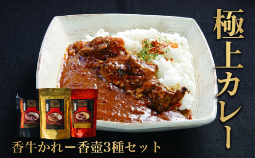 カレー 3種セット 香牛かれー香壺のかれー 牛カレー 惣菜 おかず 夕食 ごはん 晩ごはん 家族 お手軽 簡単調理 香牛かれー香壺 福岡 川崎町