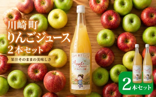 【国産果汁100％】川崎町 観光りんご園 りんごジュース 2本セット  （サンフジ /  710ml × 2本 )   【福岡県川崎町】観光りんご園 りんご リンゴ ジュース りんご 林檎 アップルジ