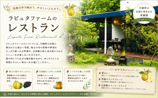 梨ピューレたっぷり ラピュタファーム 特製 梨カレー3個セット カレー レトルト 簡単調理 冷凍 本格 湯煎 防災 レストラン 詰め合わせ 自然 福岡 川崎