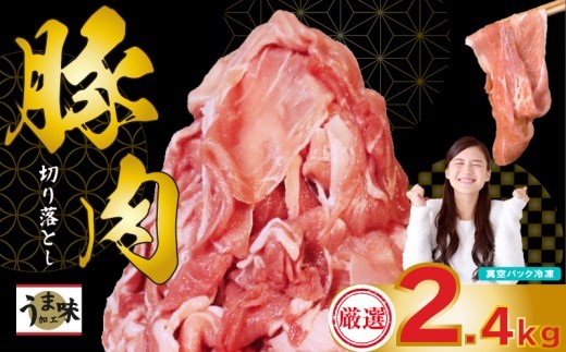 国産 豚肉 スライス 2.4kg 冷凍 真空 小分け 400g × 6パック 便利 国産 豚 2kg 切り落とし ブタ 肉 スライス 大容量 焼き肉 お肉 家族 ギフト プレゼント 年末 年始 生姜焼