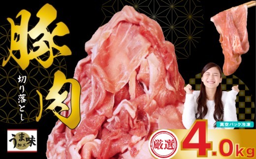国産 豚肉 スライス 4kg 冷凍 真空 小分け 400g × 10パック 便利 国産 豚 2kg 切り落とし ブタ 肉 スライス 大容量 焼き肉 お肉 家族 ギフト プレゼント 年末 年始 生姜焼き