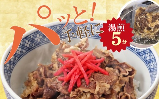 お肉屋さんの特製 牛丼の具 選べる容量 8～32人前 冷凍 牛肉 丼 どんぶり ごはんのお供 ご飯 便利 簡単 パウチ 湯せん 肉 大容量 惣菜 肉加工品 おかず 牛皿 肉料理 晩ごはん 牛 福岡県 川