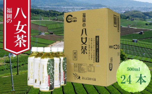 【八女茶 煎茶ペットボトル 500ml×24本】  お茶 ティー 八女茶  小分け お手軽 簡単 川崎 福岡 お茶 ふるさと納税お茶 福岡県八女茶 tea ふるさと納税八女茶 ふるさと納税抹茶 人気