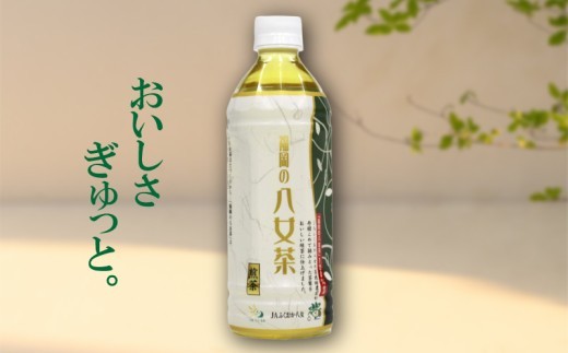 【八女茶 煎茶ペットボトル 500ml×24本】  お茶 ティー 八女茶  小分け お手軽 簡単 川崎 福岡 お茶 ふるさと納税お茶 福岡県八女茶 tea ふるさと納税八女茶 ふるさと納税抹茶 人気