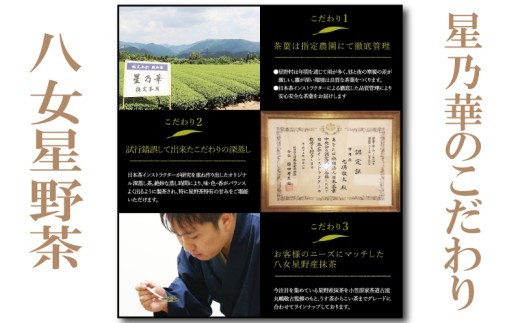 【訳あり品】八女星野茶 深蒸し茶1100g 福岡が誇る日本茶_ 訳アリ 常温 お茶 茶袋 常備品 おちゃ ocha 茶葉 緑茶 飲料 飲み物 八女 茶 日本茶 深むし茶 深蒸し