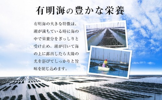 【福岡有明海苔　味海苔 大丸ボトル】10切80枚×6本セット／国産原料 のり 海苔 味のり 味付き 味海苔 早摘み海苔 nori 朝食 ごはん ふりかけ おにぎり おむすび 弁当 おつまみ  おすすめ