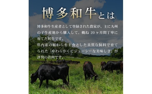 【訳あり】 博多和牛 切り落とし 1kg 冷凍 真空 小分け 250g × 4パック 便利 国産 和牛 牛肉 赤身 スライス ブランド牛 高級 大容量 牛肉 焼き肉 お肉 家族 ギフト プレゼント