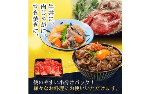 【訳あり】 博多和牛 切り落とし 1kg 冷凍 真空 小分け 250g × 4パック 便利 国産 和牛 牛肉 赤身 スライス ブランド牛 高級 大容量 牛肉 焼き肉 お肉 家族 ギフト プレゼント