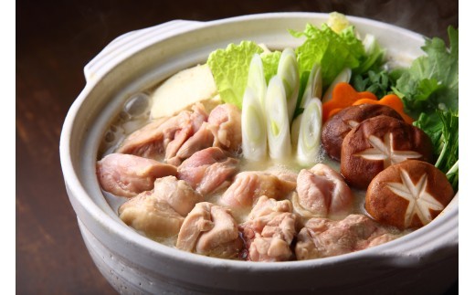 【訳あり！】博多水炊きセット　10人前（2人前×5セット）｜福岡県 水炊き 鶏肉 濃厚 名物 mizutaki みずたき 博多 福岡 美味しい うまい 鍋 なべ 大容量 小分け 川崎町 かわさき