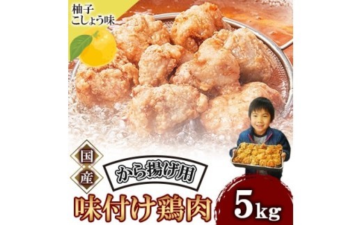 唐揚げ 5kg 冷蔵 柚子胡椒 味 新鮮 唐揚げ 鶏の唐揚げ 人気 特製 5kg 味付け 柚子こしょう 鶏肉 肉 モモ肉 とりにく とり肉 味つき 簡単 簡単調理 惣菜 そうざい おつまみ お弁当 お