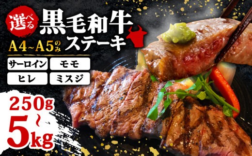 選べる部位 博多和牛 ステーキ 250g~5kg