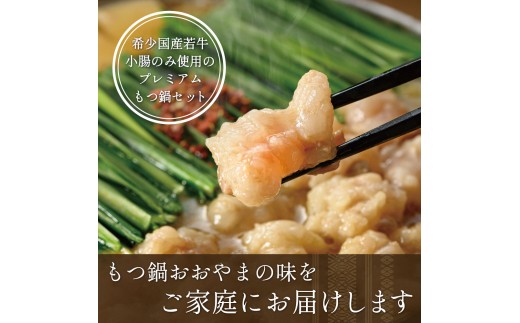 もつ鍋 しょうゆ味 ( 2人前 ) ＋モツ 240ｇホルモン鍋 セット ちゃんぽん 麺 付き ホルモン 鍋 牛肉 牛もつ 肉 冷凍 セット 小分け 惣菜 おかず 鍋 調理 父の日  福岡県 川崎町