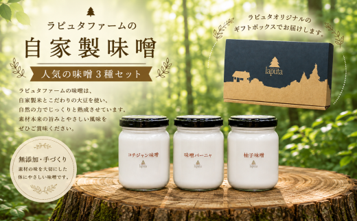 人気の味噌3種セット 果樹園レストラン ラピュタファーム  簡単調理  レストラン  詰め合わせ 味噌 柚子 コチュジャン バーニャ 自然 福岡 川崎