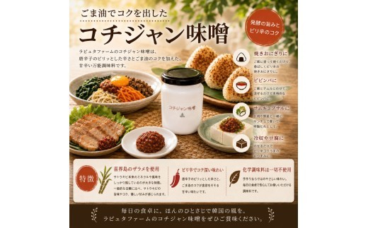 人気の味噌3種セット 果樹園レストラン ラピュタファーム  簡単調理  レストラン  詰め合わせ 味噌 柚子 コチュジャン バーニャ 自然 福岡 川崎