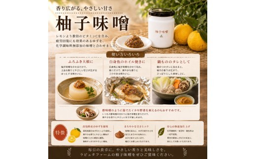 人気の味噌3種セット 果樹園レストラン ラピュタファーム  簡単調理  レストラン  詰め合わせ 味噌 柚子 コチュジャン バーニャ 自然 福岡 川崎