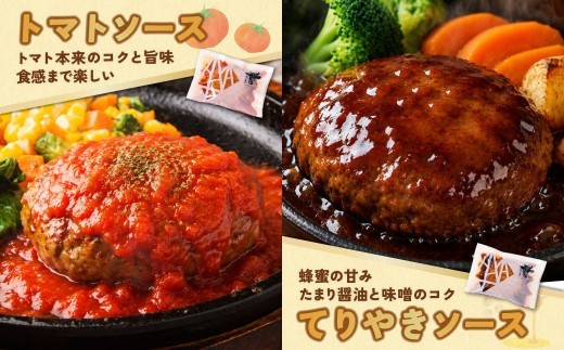 【シリーズ累計510万個突破!!】 Best4 ハンバーグ 4種 6~20個セット ハンバーグ 牛肉 ハンバーグ ランキング はんばーぐ hannba-gu ハンバーグ 湯煎 お試し 定期便 豚肉