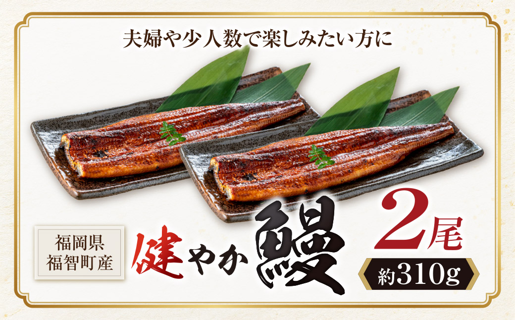 【累計30万尾突破！】選べる！ 有頭 無頭 国産うなぎ 2尾～6尾（計310g～930g以上） タレ 山椒付 鹿児島県産 宮崎県産 熊本県産 うなぎ うなぎ蒲焼 国産 人気 鰻 ウナギ unagi