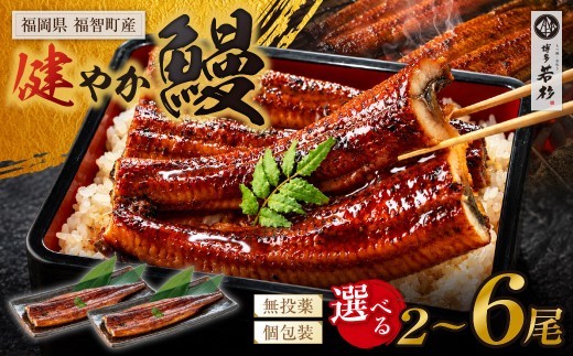 【累計30万尾突破！】選べる！ 有頭 無頭 国産うなぎ 2尾～6尾（計310g～930g以上） タレ 山椒付 鹿児島県産 宮崎県産 熊本県産 うなぎ うなぎ蒲焼 国産 人気 鰻 ウナギ unagi