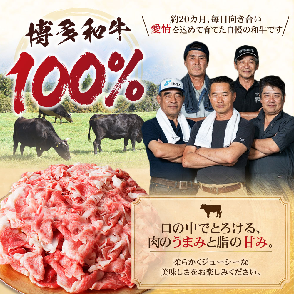 選べる!【訳あり】 博多和牛切り落とし400g~1.2㎏ 国産 牛肉 ぎゅうにく 切り落とし きりおとし 国産和牛 小分け 人気 肉 切り落とし セット 牛肉 博多和牛 牛肉 和牛 おすすめ 訳あり