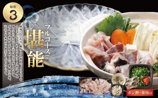 とらふぐセット(3人前)ふぐ刺し ふぐ鍋 薬味 ポン酢付き とらふぐ トラフグ ふぐ 河豚 ふぐちり 人気 とらふぐ 国産 てっさ てっちり おすすめ とらふぐ 刺身 鍋 セット