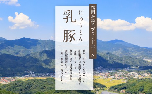 国産ブランド豚使用! 乳豚 餃子50個&コロッケ10個セット 国産 豚メンチカツ 豚肉 人気 おすすめ ぶたにく 餃子 ぎょうざ ギョウザ ミンチ 惣菜 おかず 冷凍 ブランド豚