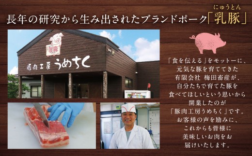 国産ブランド豚使用！ 乳豚 チャーシュー800g 焼き豚 ラーメン 肉 豚肉 人気 おすすめ ブタ肉 豚バラ おつまみ チャーシュー おかず 調理