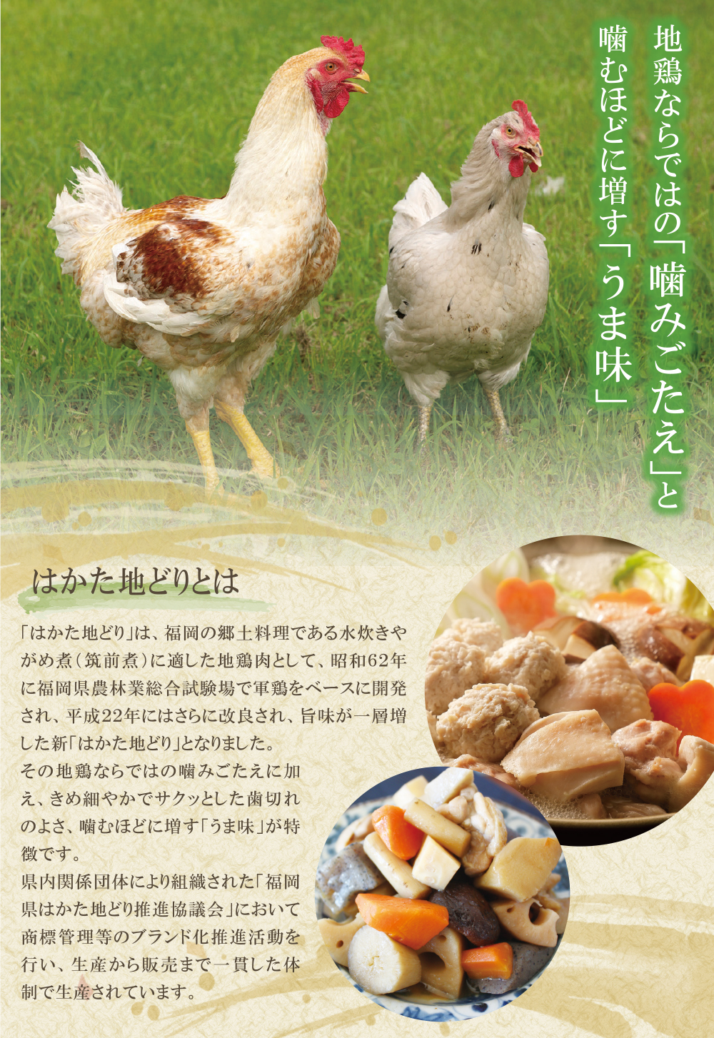 はかた地どり 炭火焼・水炊き定期便(隔月・年6回)