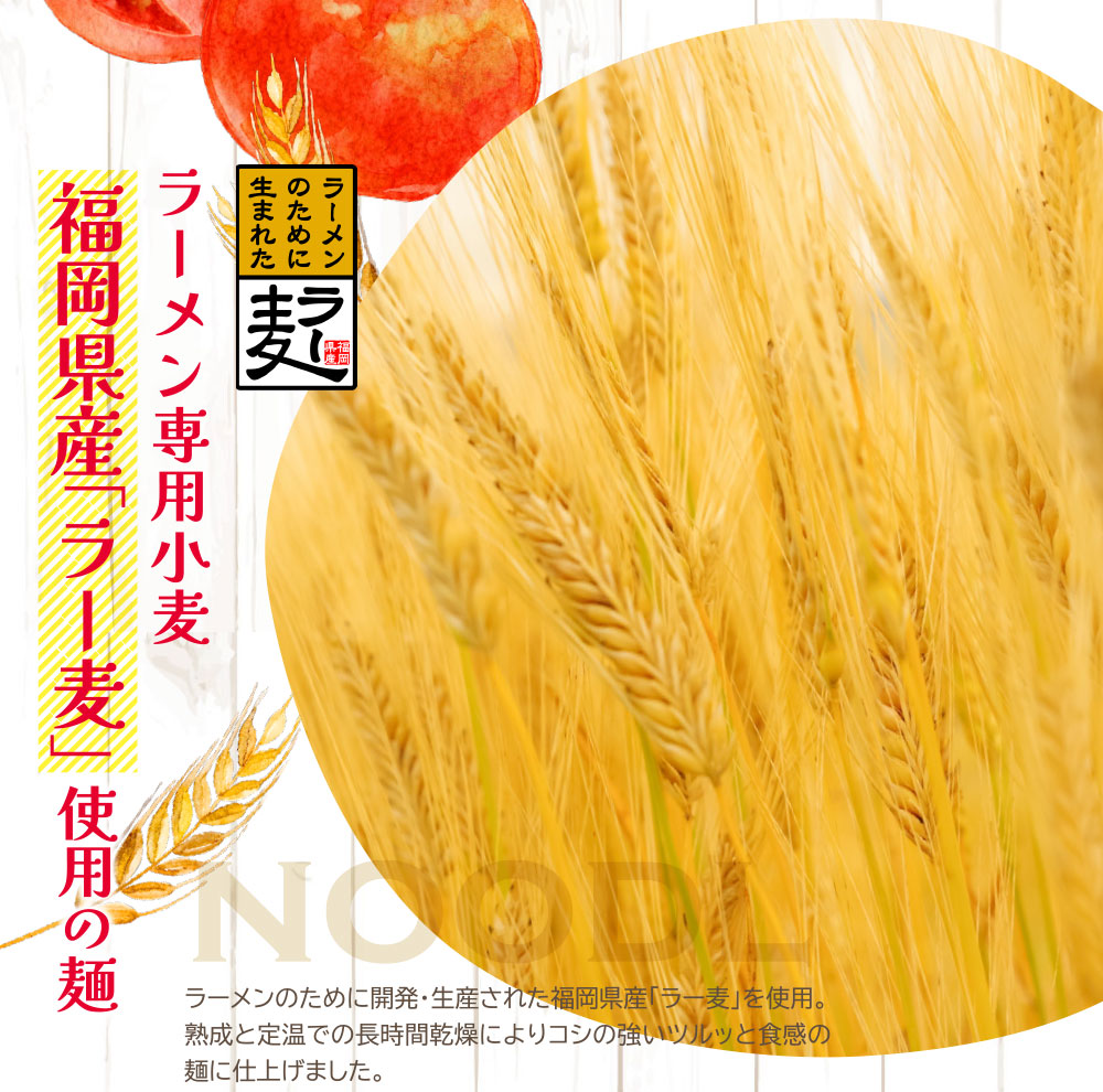福岡県産ラー麦　とまとらーめん　120ｇ×8入（スープ付）