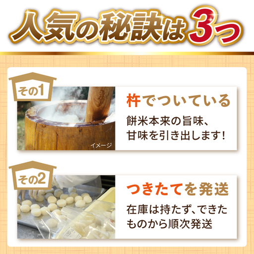 【つきたて発送】 本格 杵つき 生もち 60個 (10個×6パック)《築上町》【アルク農業サービス合同会社】[ABAB001] 餅 お餅 もち 丸もち おもち