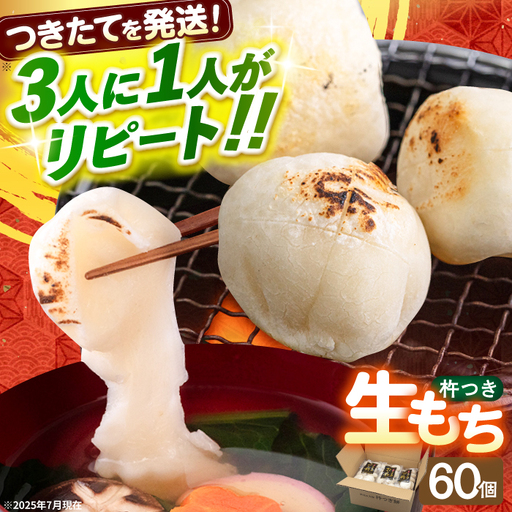博多華味鳥 水炊き セット ちゃんぽん付き 2人前 《築上町》【トリゼンフーズ】[ABCN030]鶏 鶏肉 博多 華味鶏 贈り物 お中元 お土産 鍋 ギフト はなみどり