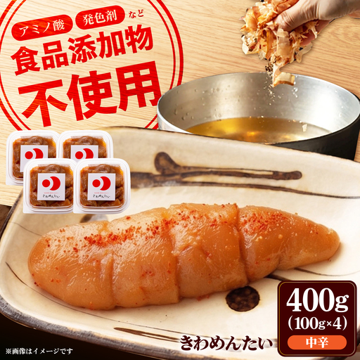 博多華味鳥 水炊き セット ちゃんぽん付き 2人前 《築上町》【トリゼンフーズ】[ABCN030]鶏 鶏肉 博多 華味鶏 贈り物 お中元 お土産 鍋 ギフト はなみどり