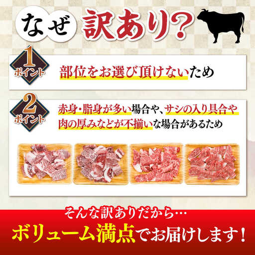 【訳あり】博多和牛焼肉切り落とし 500g 《築上町》【株式会社MEAT PLUS】[ABBP119]焼肉 焼き肉 牛肉 やきにく 焼肉 焼き肉 500g 焼肉 肉 牛肉 肩ロース・バラ A4～A5ランク 訳アリ