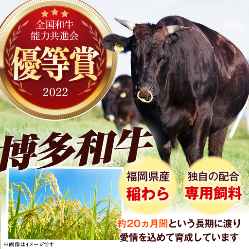 博多和牛 ヒレ シャトーブリアン 150g × 2枚（300g）《築上町》【肉のくまもと屋】 [ABEZ008] ステーキ 国産 ヒレステーキ お肉 高級 シャトーブリアン しゃとーぶりあん シャトー