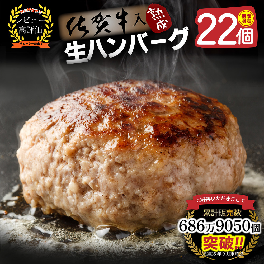 【14日以内発送！数量限定】佐賀牛入り ハンバーグ 22個 2.6kg(120g×22個)【佐賀牛 黒毛和牛 ブランド牛 九州 ハンバーグ 牛肉 豚肉 国産 お弁当 おかず 惣菜】(H083106)