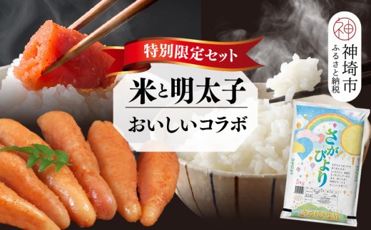【2回定期便】特別限定セット さがびよりと明太子 おいしいコラボ【米 ブランド米 辛子明太子 たらこ ご飯のお供】(H996P128)