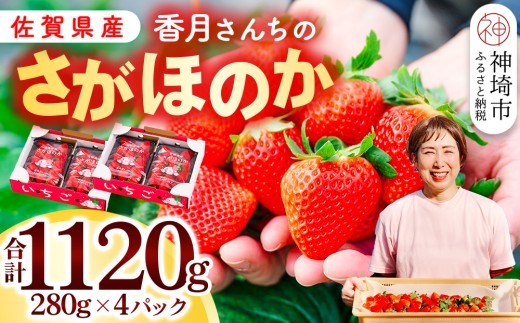 【令和9年1月より発送開始】香月さんちのいちご(さがほのか)280g×4パック 【いちご イチゴ 苺 さがほのか 大玉 大粒フルーツ 果物  数量限定 香月農園 佐賀県産】(H017116)