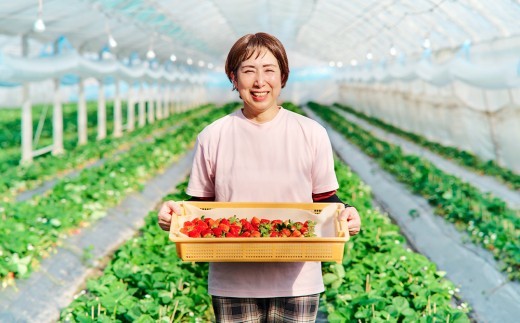 【令和9年1月より発送開始】香月さんちのいちご(さがほのか)280g×4パック 【いちご イチゴ 苺 さがほのか 大玉 大粒フルーツ 果物  数量限定 香月農園 佐賀県産】(H017116)