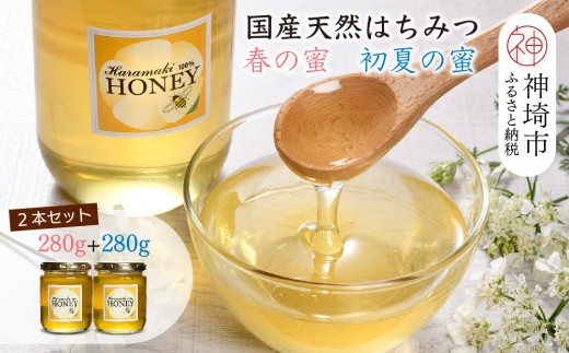 2025年産 天然蜂蜜 春の蜜280g 初夏の蜜280g