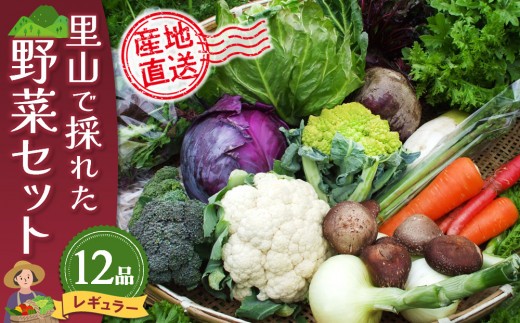 里山で採れた野菜セットレギュラー 12品