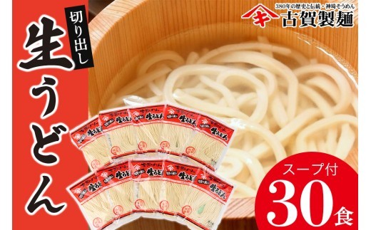 ふっくらモチモチ神埼生うどん 10袋入