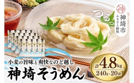 神埼そうめん 240g×20袋