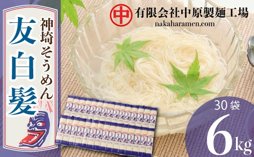 神埼そうめん 友白髪 30袋入り