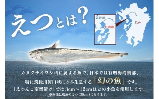 えつんこ南蛮漬け【えつ エツ 南蛮漬け おかず お惣菜 稚魚 有明海 徐福伝説 国産 地域 珍味】(H028107)