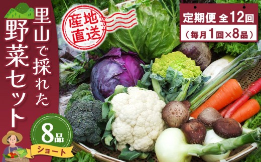 年間定期便12回 里山で採れた野菜セットショート 8品