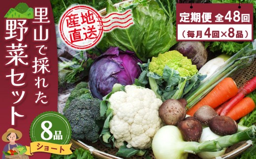 年間定期便48回 里山で採れた野菜セットショート 8品