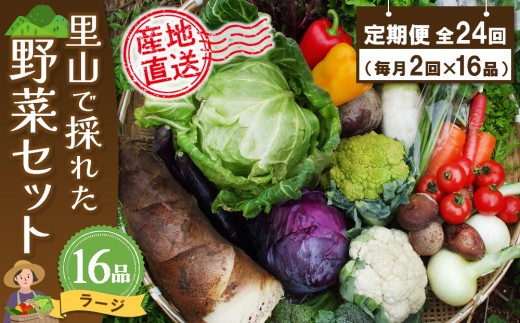 セット 詰合せ 年間定期便24回 里山で採れた野菜セットラー…
