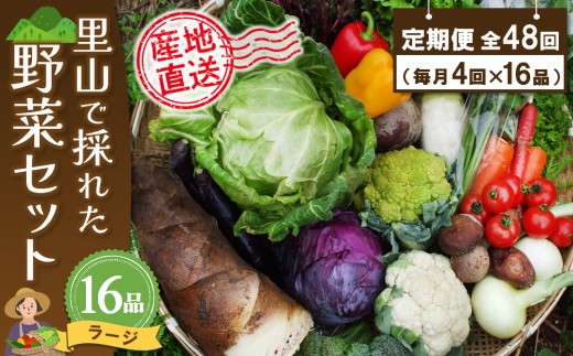 セット 詰合せ 年間定期便48回 里山で採れた野菜セットラー…
